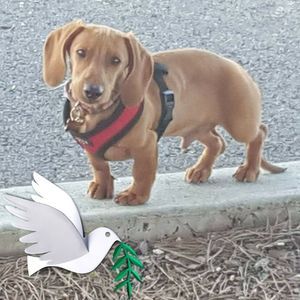 Meet your Posher, Malena